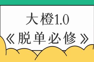 大橙1.0《脱单必修》