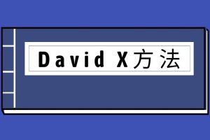 David X方法（泡学电子书）