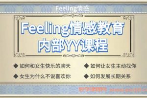 Feeling情感教育内部yy课程