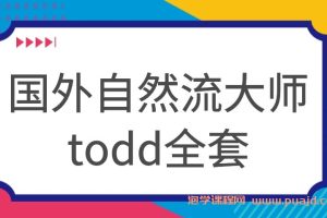 国外自然流大师todd全套