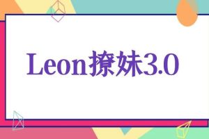 Leon撩妹3.0