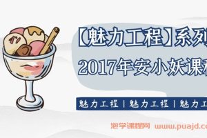 【魅力工程】2017年安小妖