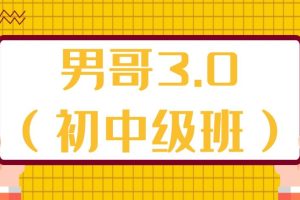 男哥3.0（初中级班微信群内部课）