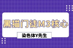 染色体Y先生《黑猫门徒M3核心》