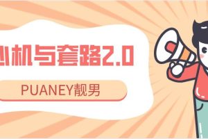 PUANEY靓男《心机与套路2.0》网盘下载