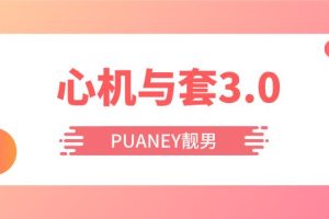 PUANEY靓男《心机与套路3.0》网盘下载