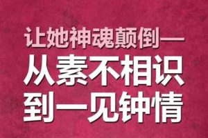 《让她神魂颠倒：从素不相识到一见钟情》PDF下载