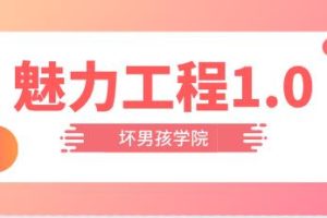 小鹿情感：坏男孩《魅力工程1.0》完整版