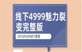 2016PUANEY线下4999魅力裂变完整版