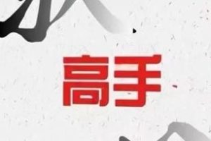 《驭心高手》pdf电子版/无水印