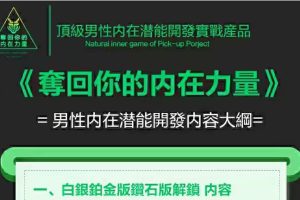 瑞恩情感课程《夺回你的内在力量》钻石版百度云下载