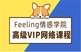 2018年Feeling情感学院《高级VIP网络课程》