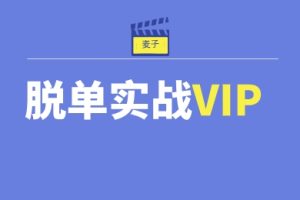 麦子《脱单实战VIP课》网盘下载