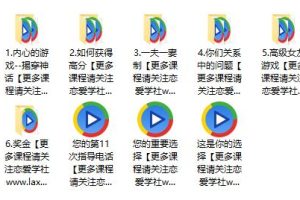 麦克斯《女朋友游戏》（关系管理）百度网盘下载