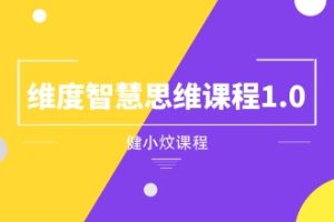 健小炆《维度智慧思维课程1.0》网盘下载