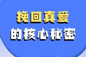 挽回真爱的核心秘密_百度网盘下载