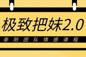 泰阳《极致·把妹2.0》百度云下载