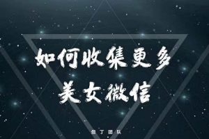 但丁系列《如何收集更多美女微信》百度云下载