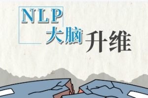 魅男《NLP大脑升维》